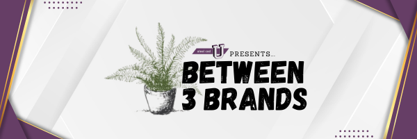 Between 3 Brands logo