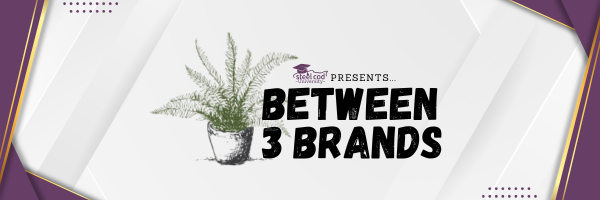 Between 3 Brands logo